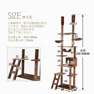 【全店5%OFFクーポン利用!】キャットタワー...の詳細画像4