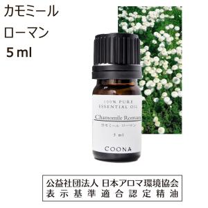 ドテラ ジャスミン 2.5mL ＜数量限定＞ doTERRA Jasminum grandiflorum