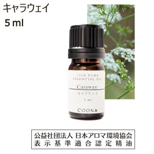 隕石入りツボ押し＆チャクラ鍛え棒 宇宙パワーテン マッサージ 血行