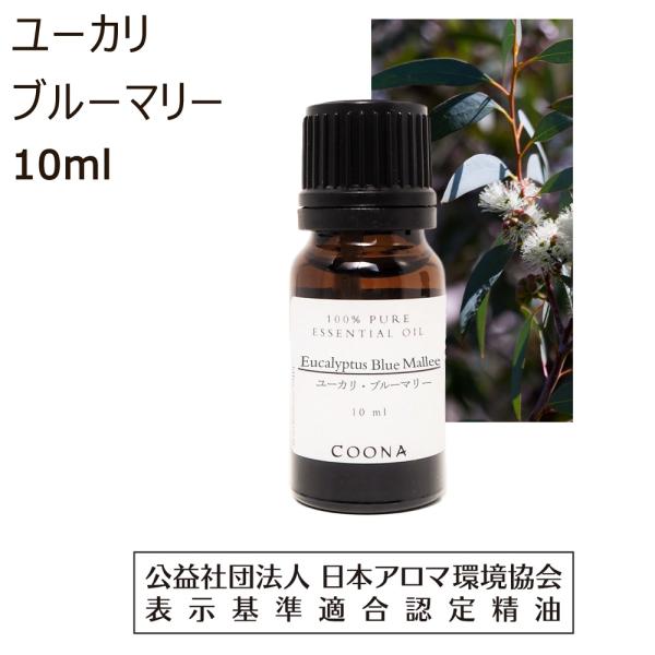ユーカリ ブルーマリー 精油 アロマ オイル 10ml ユーカリ精油 エッセンシャルオイル