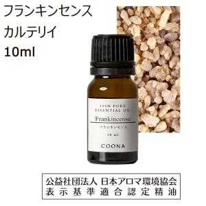 アシュレイ＆バーウッド アロマオイル 500ml シーブリーズ PFL940