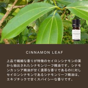 シナモン リーフ 精油 アロマオイル 10ml...の詳細画像2