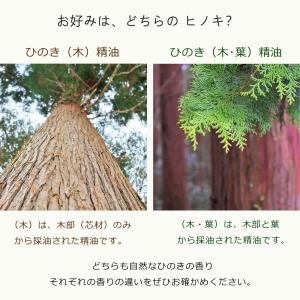 ひのき アロマ セット 木と木葉 5mL×2本...の詳細画像5