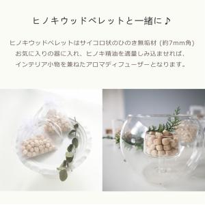 ひのき アロマ セット 木と木葉 5mL×2本...の詳細画像3