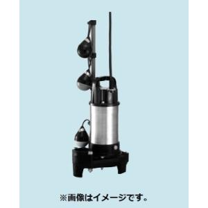 ○テラル ポンプ【65PV2A-51.5-TOK2】排水水中ポンプ 樹脂製 PV2A