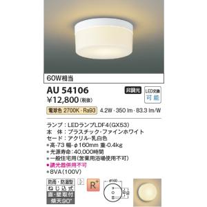 コイズミ照明　AU54106　アウトドアライト 非調光 LEDランプ 電球色 防雨・防湿型 直付・壁付取付 ファインホワイト ∽