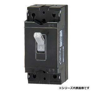 テンパール工業 B2HA50 配線用遮断器 安全ブレーカ 50AF 2P2E 100-100