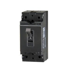 パナソニック Panasonic BJS2032N 小型ELB 2P2E20A 30mA