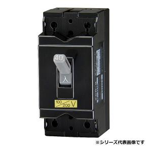 テンパール工業 B2HA40 配線用遮断器 安全ブレーカ 50AF 2P2E 100-100