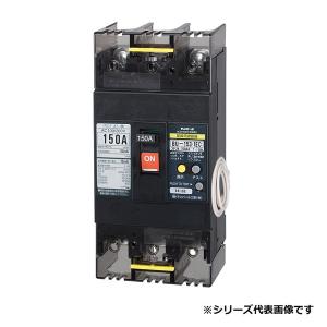 テンパール工業 漏電遮断器 2EA3030 経済タイプ GB-2EA 30A 30mA