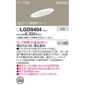 RF110V135WH 岩崎電気 EYE アイランプ RF110V135WH 屋外投光用