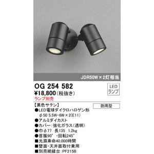 オーデリック　OG254582　エクステリアスポットライト LED 防雨型 黒色サテン ランプ別売｜coordiroom
