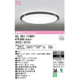 ODELIC（オーデリック） OL251327R シーリングライト 6畳 非調光 LED一