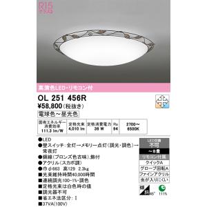 ODELIC（オーデリック） シーリングライト 【OL291098R】【OL 291 098R