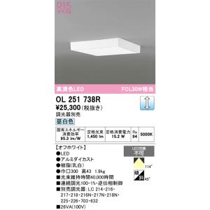 ODELIC（オーデリック） OL251327R シーリングライト 6畳 非調光 LED一