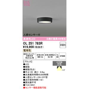 大光電機 大光電機(DAIKO) DOL-3764XS アウトドアライト スポット