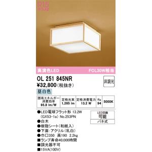 Panasonic（パナソニック） LED照明器具 施設照明 NNF26912CLR9