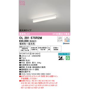 ODELIC（オーデリック） OL291571R2M（光源ユニット別梱包）『OL291571