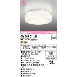 その他 住設 : オーデリック[OW269049NR]エクステリア ODELIC（オーデリック） 015NR 269 OW ODELIC その他