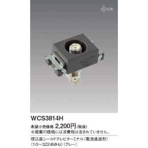 Panasonic（パナソニック） 電設資材 WCS3814W(発注単位：10) 埋込高