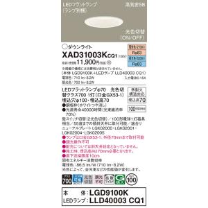 法人様限定】パナソニック LRDC1143L LE1 LEDダウンライト 屋外用 埋込