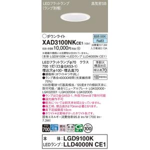 Panasonic（パナソニック） 【送料無料】 XAD3100NKCE1