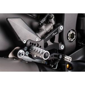 h*a様 s1000rr k67 ライテック　バックステップ BMW BMW S1000RR 19-21 バックステップ 【LIGHTECH】（ライテック