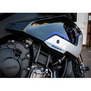 YAMAHA ヤマハ　MT-10  2016-2020 サイドパネル