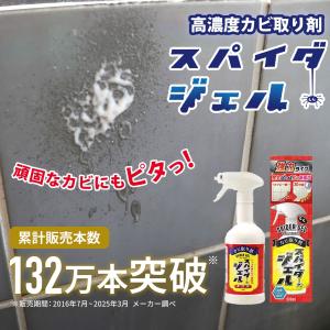 カビ取り剤 カビ取りジェル 業務用 お風呂掃除...の詳細画像1
