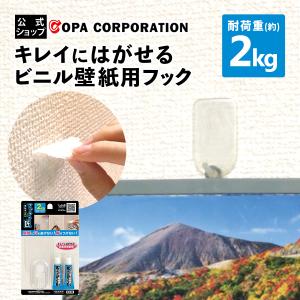 フック 壁掛け 透明 クリア はがせる 繰り返し 強力 目立たない 穴開けない 賃貸 特許取得 収納 キッチン 玄関 ハンガー コート バッグ フックの匠 2kg