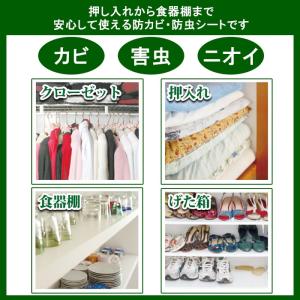 防虫シート 防カビシート タンス 畳 押し入れ...の詳細画像1