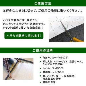 防虫シート 防カビシート タンス 畳 押し入れ...の詳細画像5