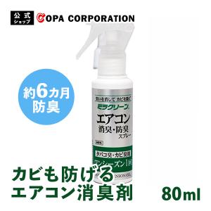 エアコン 消臭スプレー 消臭剤 防臭 車 カーエアコン 業務用 ウイルス カビ 安全 臭い エアコン6台分 半年間 ミラクリーン エアコン消臭防臭スプレー 80ml