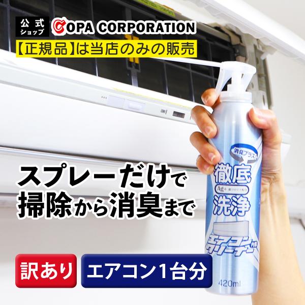 訳あり エアコン 洗剤 洗浄 洗浄剤 掃除 スプレー 自分で プロ カビ 汚れ 除菌 消臭 臭い 強...