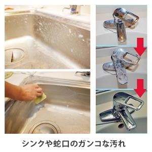 ハイホームミニ 100g 洗剤 クレンザー 磨...の詳細画像1