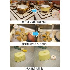 ハイホームミニ 100g 洗剤 クレンザー 磨...の詳細画像2