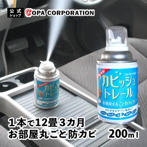 防カビ剤 防カビくん煙剤 部屋 燻煙剤 無香料 抗菌