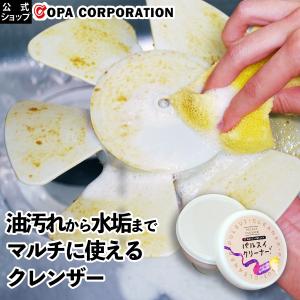 パルスイクリーナー クレンザー 水垢 パルスイ 水アカ 水あか 洗剤 油汚れ キッチン 水回り 台所 ごとく 電子レンジ レンジフード 換気扇 パレット馬場