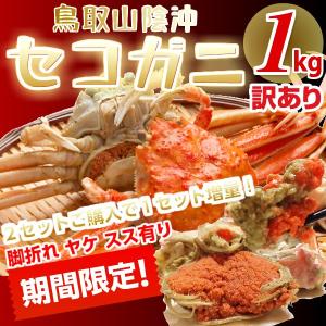【ご予約】セコガニ 訳有り（足折れ・やけ・スス）せこがに 山陰沖産 親がに セイコガニ１キロ（5-9枚） ２セット以上ご購入で１セット増量中 送料無料 　
