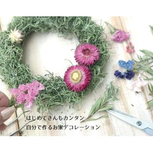 手作りキット ドライフラワー ハンドメイドキッ...の詳細画像1