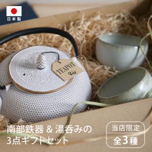 南部鉄器 急須 セット 平清水焼 湯呑 白 2個セット 0.6L