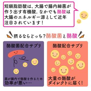 【 腸活サプリ 】Laxan ラクサン 酪酸菌...の詳細画像2