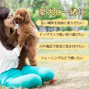 犬 ロングリード 20m リード 小型犬 中型...の詳細画像1
