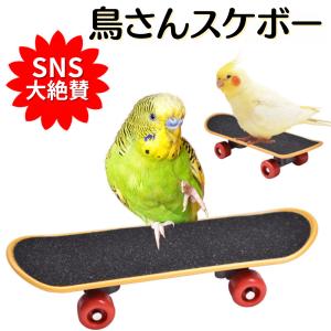 インコ スケボー 小鳥 ミニスケボー スケートボード 鳥 おもちゃ バードトイ 小型 ペット 可愛い sns 話題 人気 鳥玩具 知育 ストレス解消