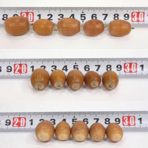 シマシマどんぐり15個 〜ドライ、クラフト、リ...の詳細画像3