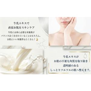 北海道牛乳【リップクリーム 4g】ハッカミルク...の詳細画像3