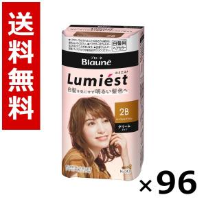 ブローネ ルミエスト ヘアカラー 2B キャラメルブラウン 108g × 96個／4ケース 送料無料 花王 ブローネ 白髪染め ヘアカラー 部分染め