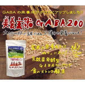 【プレゼント付】米ぬかパウダー 美養玄米GAB...の詳細画像2