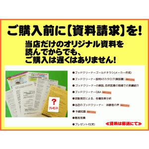 ゴッドクリーナー・ゴールド通販 GOD-CLE...の詳細画像4