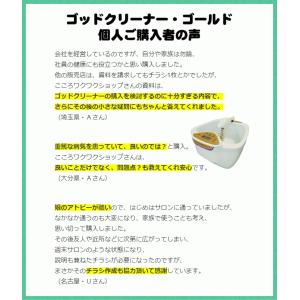 ゴッドクリーナー・ゴールド通販 GOD-CLE...の詳細画像5
